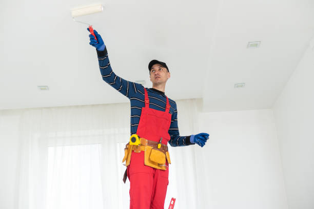 Best Mold Remediation for Healthcare Facilities  in Clton, IN